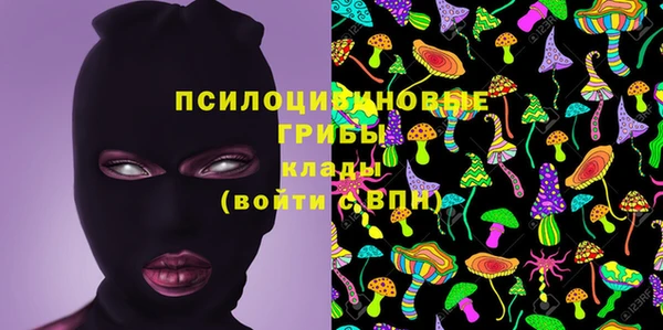 ГАЛЛЮЦИНОГЕННЫЕ ГРИБЫ Белокуриха