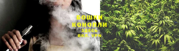 ГАЛЛЮЦИНОГЕННЫЕ ГРИБЫ Белокуриха