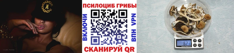 Псилоцибиновые грибы ЛСД  Гремячинск 